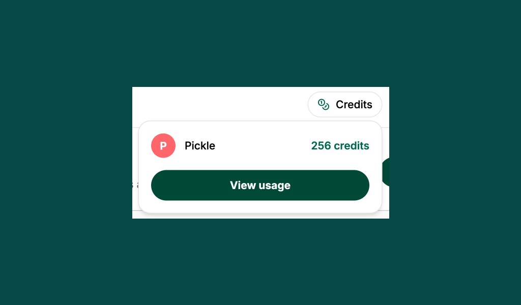 Credits display showing available balance and View usage button